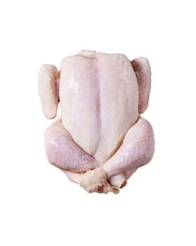 مرغ کامل