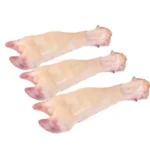 پاچه گوساله