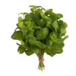 Mint Afghan online store