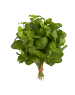 Mint Afghan online store