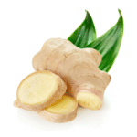 Ginger afghan online stroe