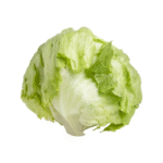 Lettuce afghan online store