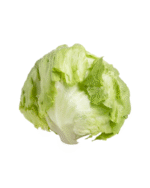 Lettuce afghan online store