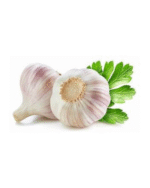 Garlic afghan online store