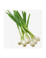 Onion Green afghan online store