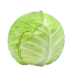 Cabbage afghan online store