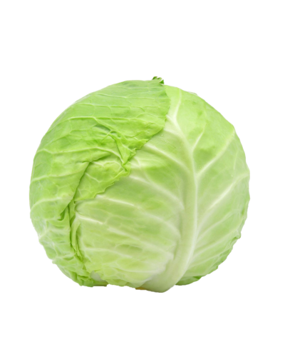Cabbage afghan online store