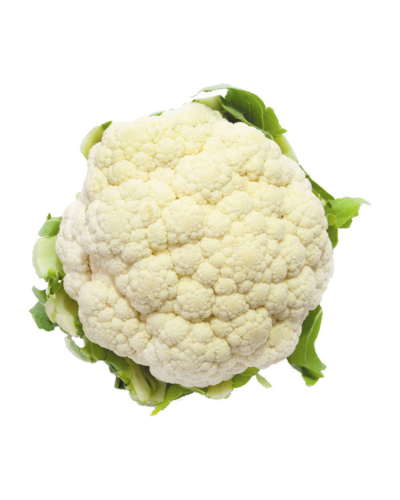Cauliflower afghan online store