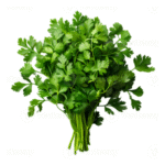 cilantro afghan online store