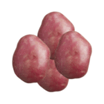 Red Potato afghan online store 