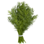 Dill, Baby aghan online store