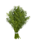 Dill, Baby aghan online store